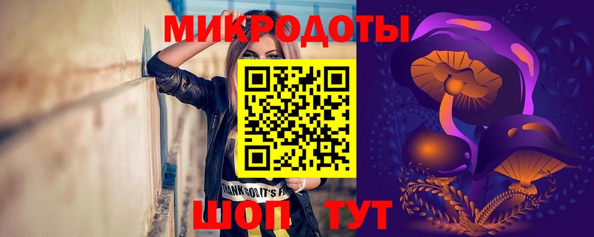 Галлюциногенные грибы Psilocybe Анапа